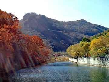 新澳天天开奖资料大全旅游团，五一手机促销广告语